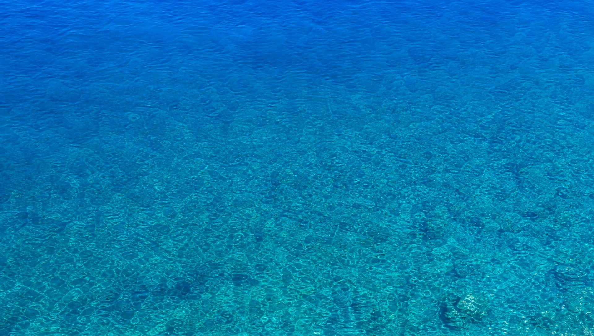 Du quai à la haute mer